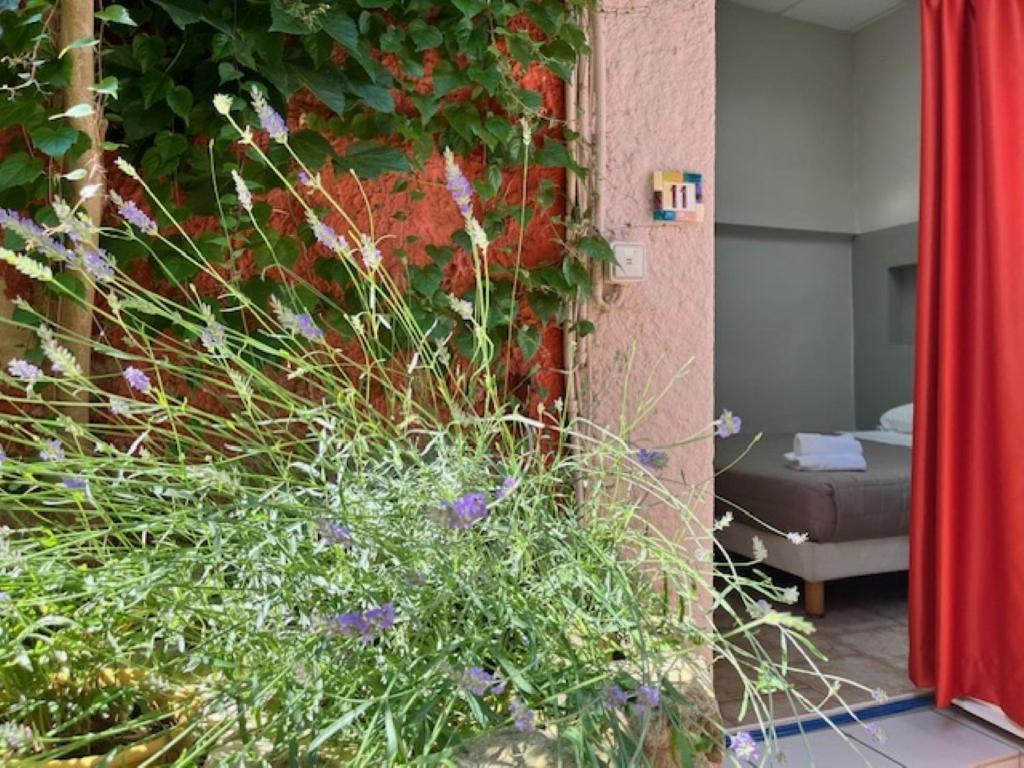 Hotel Le Colbert Avignon